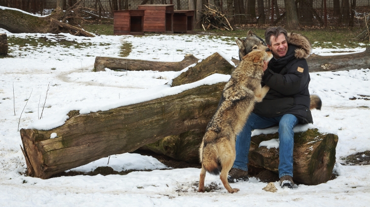 Video: Hungarian Animal Trainer  Works With Hollywood's Stars