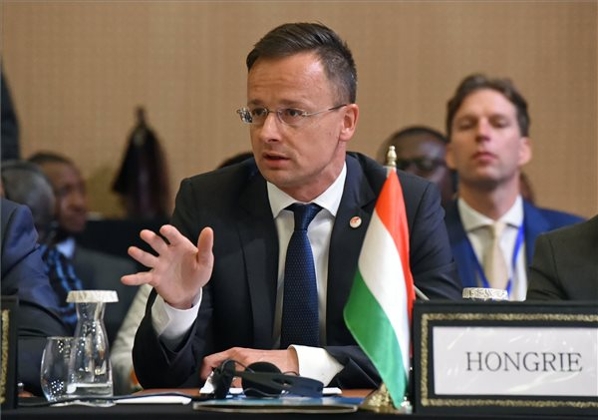 Foreign Minister Slams Austrian Aid Decision
