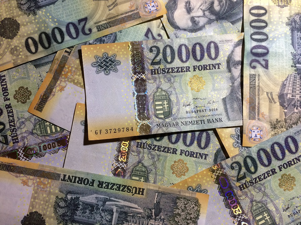 Gross Wages In Hungary Up 10.6% In January