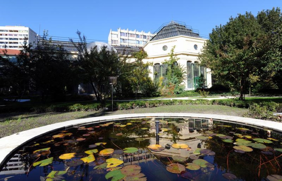Xplore Budapest: Füvészkert - Botanical Garden of ELTE