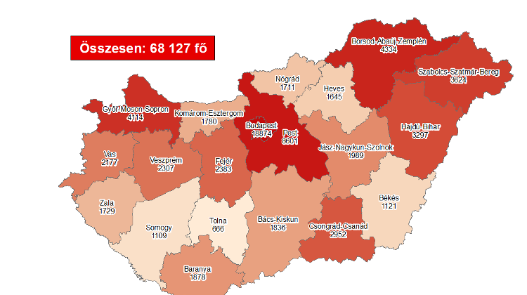 Coronavirus: Active Cases Stand At 49,024 With 56 New Deaths In Hungary