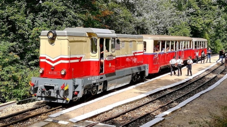 Insider’s Guide: Charming Narrow-Gauge Forest Railways in Hungary Insider’s Guide: Charming Narrow-Gauge Forest Railways in Hungary