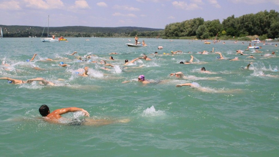 Cross-Balaton Swim, 7 August
