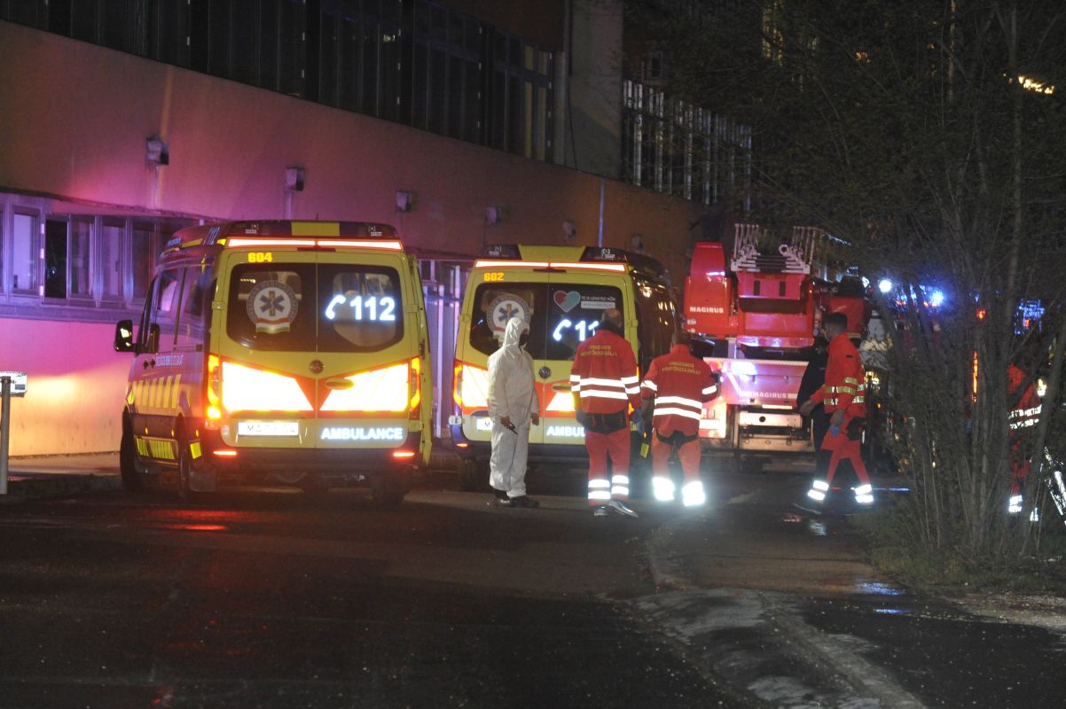 Fire Kills One At Budapest Hospital