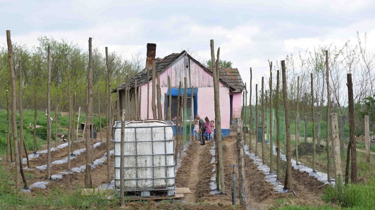 Cucumber Cultivation Helps Lift Up Hungary’s Poorest