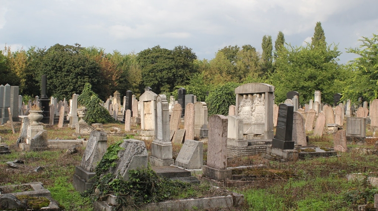 International Volunteers To Clean Up Budapest Jewish Cemetery