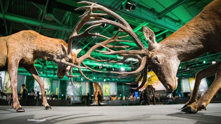 Report: World Hunting Expo in Budapest Now on Until 14 October