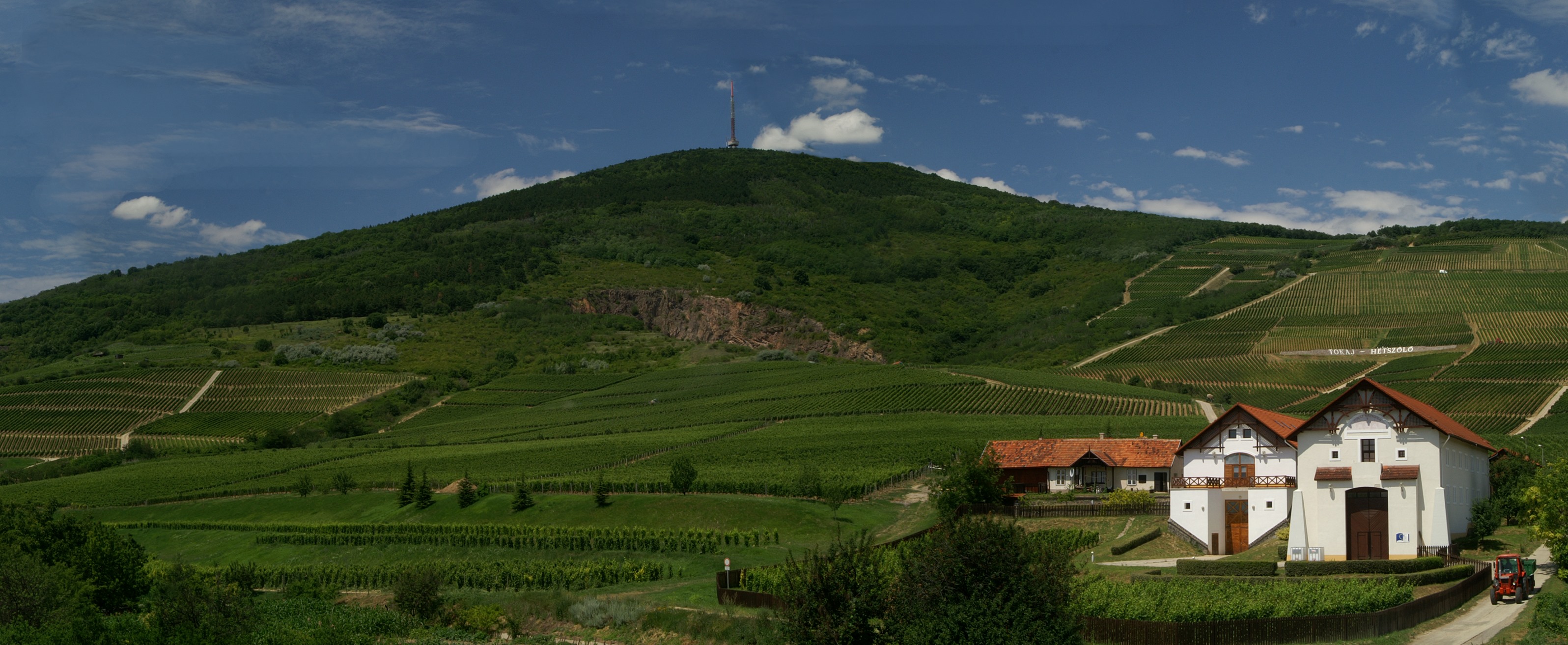 Introducing Tokaj-Hétszőlő Organic Wine Estate