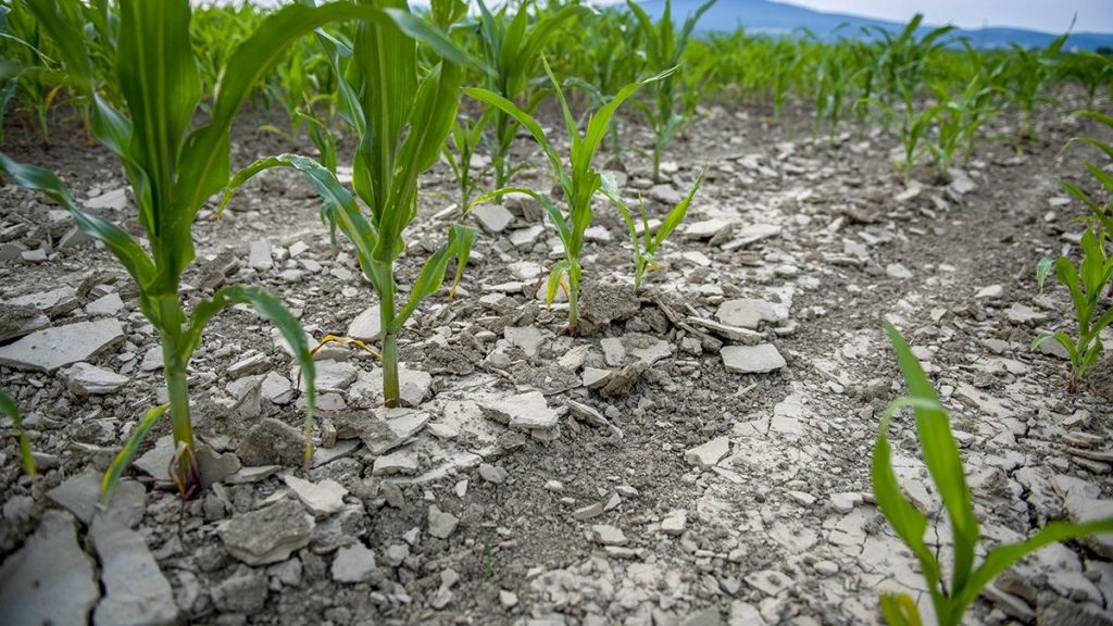 2021 One Of Hungary's Driest Years