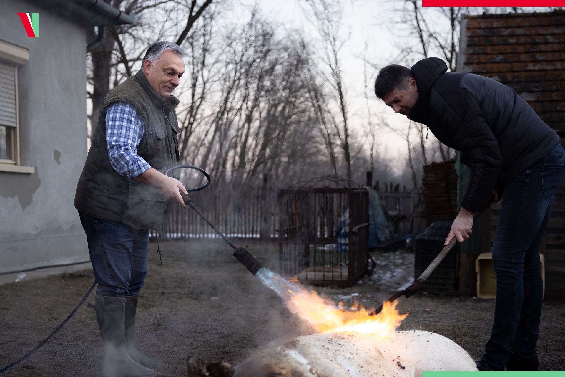Hungarian Opinion: PM Orbán Attends Traditional Pig Slaughter