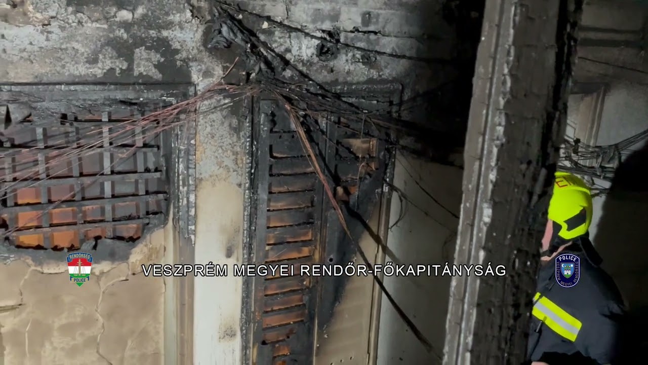 Watch: Why Pensioner Set Himself on Fire in Gov't Office in Hungary