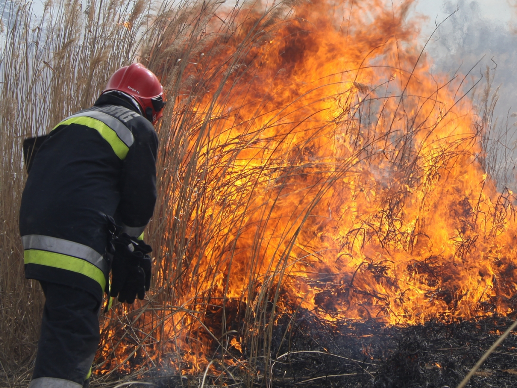 Thousands of Wildfires in Hungary so Far this Year