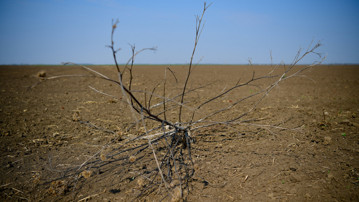 Great Plain May Completely Dry Out in Hungary, Warn ELTE Uni Researchers