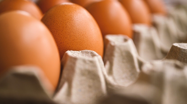 Egg Prices in Hungary Decrease Dramatically Over 24 Hours