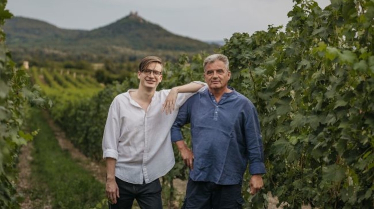 Introducing Szászi Wine Estate from Szentgyörgy-hegy, Hungary