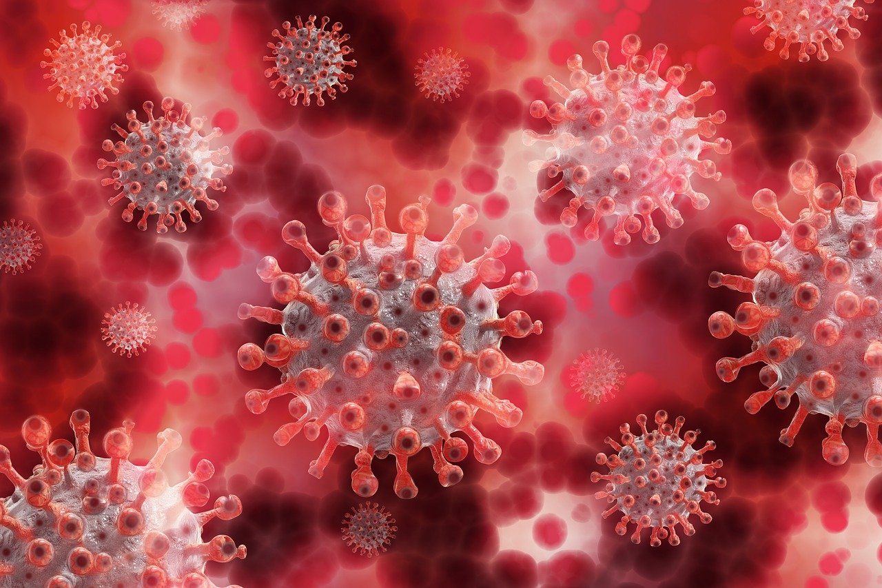 Covid Warning: New Coronavirus Variant Now in Hungary