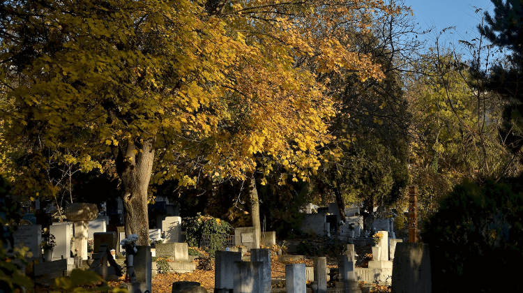 Special Autumn Walks in the Most Famous Cemeteries of Budapest Special Autumn Walks in the Most Famous Cemeteries of Budapest