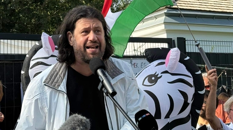 New Protest at Orbán Estate – Ladder, Balloons & Zebra Costumes New Protest at Orbán Estate – Ladder, Balloons & Zebra Costumes