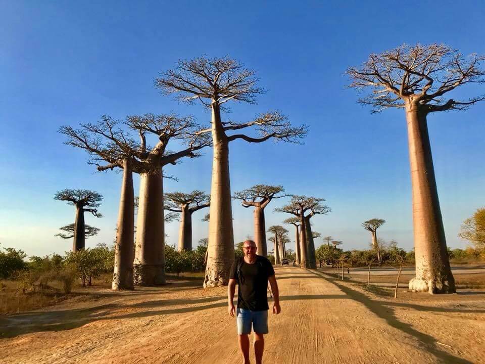 István Kuti, Director, Discover the World