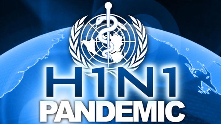 Woman Dies Of H1N1 Flu Virus In Hungary