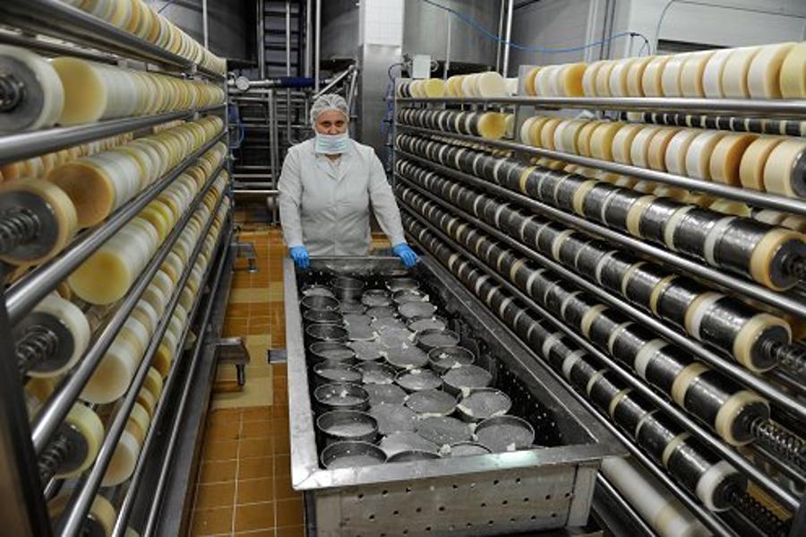 Hungarian Cheese Gains Popularity In Near East