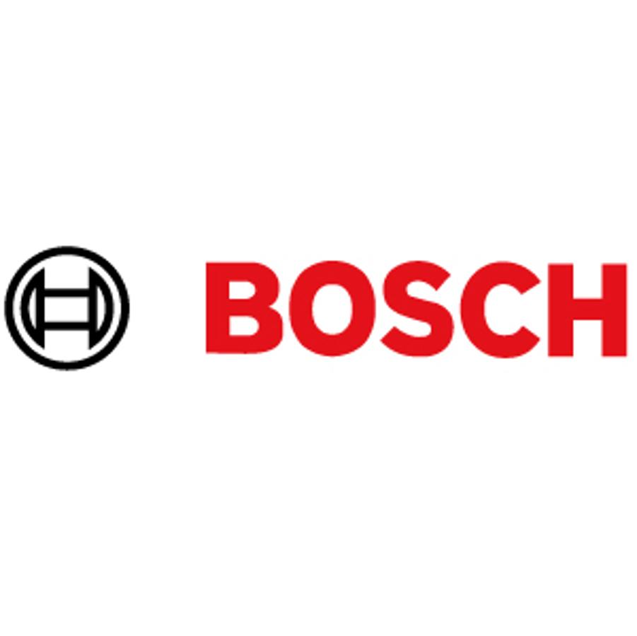 Xpat Opinion: Bosch In Budapest