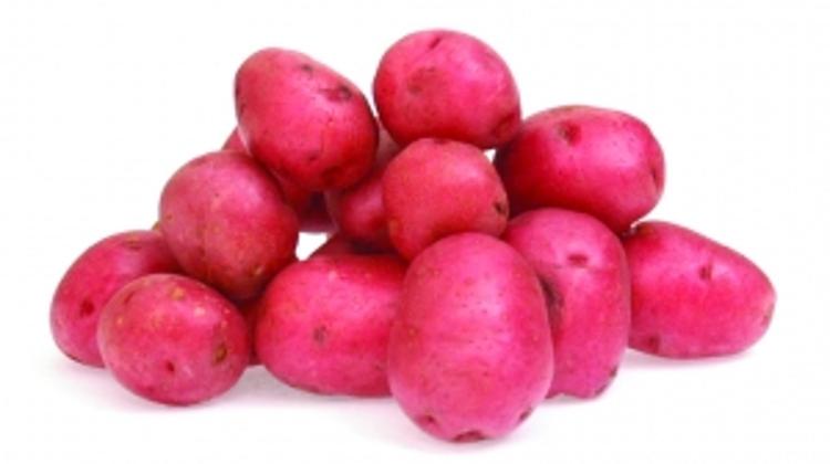 European Court Bans GMO Potato After Hungary Challenge