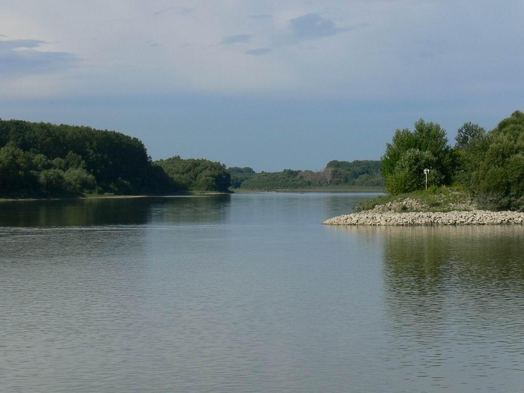 A WWF Restoration Project In Hungary Brings Life Back To A Danube Island