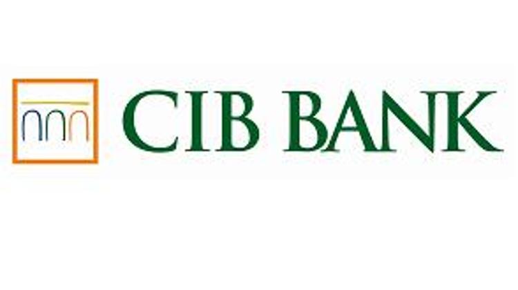 Capital Raised By HUF 15.4bn At Hungarian Unit Of CIB Bank