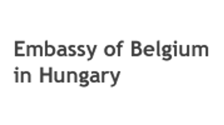 Belgian Exhibition Marks WWI Centenary In Székesfehérvár
