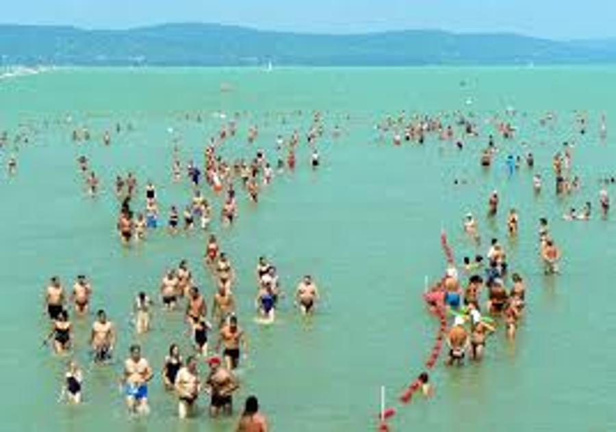 Report: Over 8,000 Swim Across Lake Balaton In Hungary