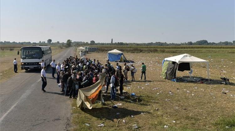Order Must Be Restored Along Hungarian Border