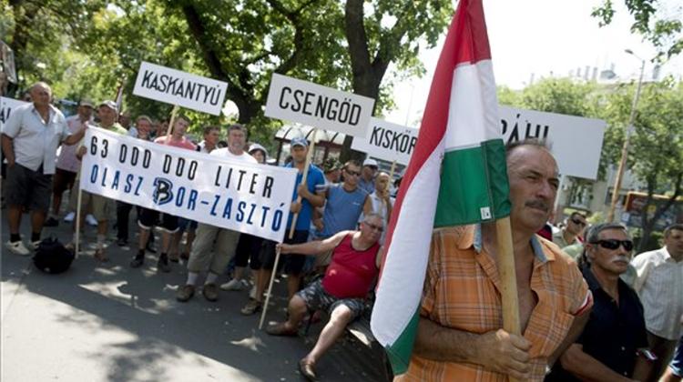 Hungarian Grape Growers Protest Against Italian Wine Imports