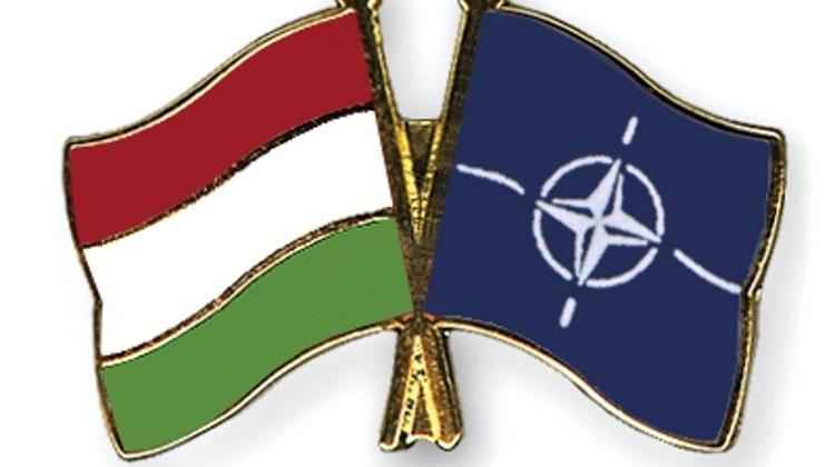 Video: 'Brave Warrior' NATO Military Exercise In Hungary, 14-21 Sept.