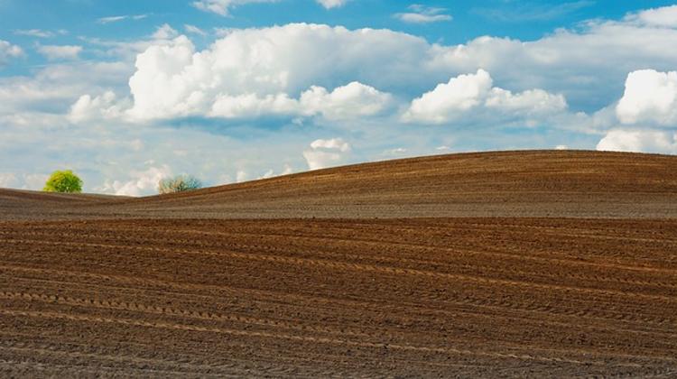 Foreigner Wins Farmland Auction In Hungary