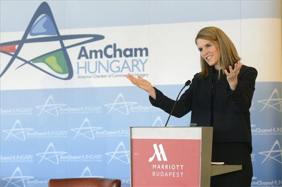 US Ambassador: Economic Ties With Hungary Strong