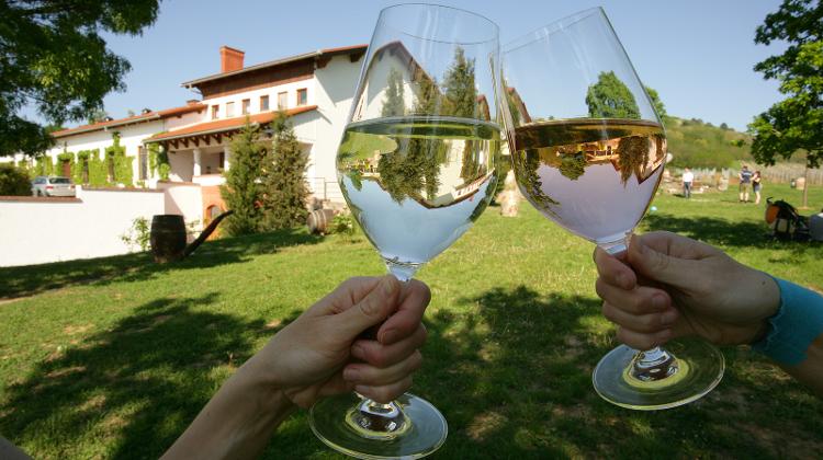 Introducing Vylyan Vineyards & Winery