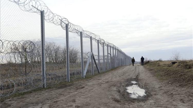 Migrants Reappear At Sealed-Off Hungarian-Serbian Border