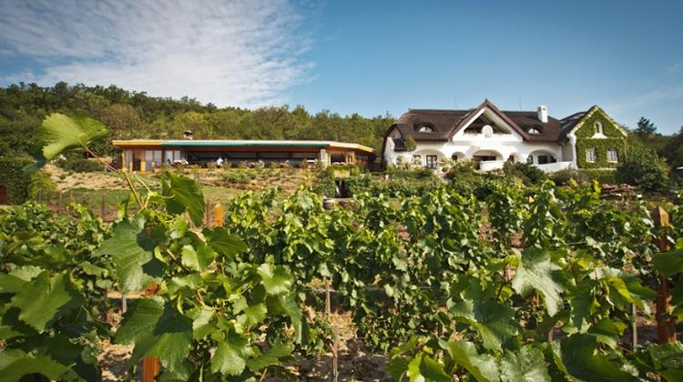 Introducing Hungary's St. Donat Winery