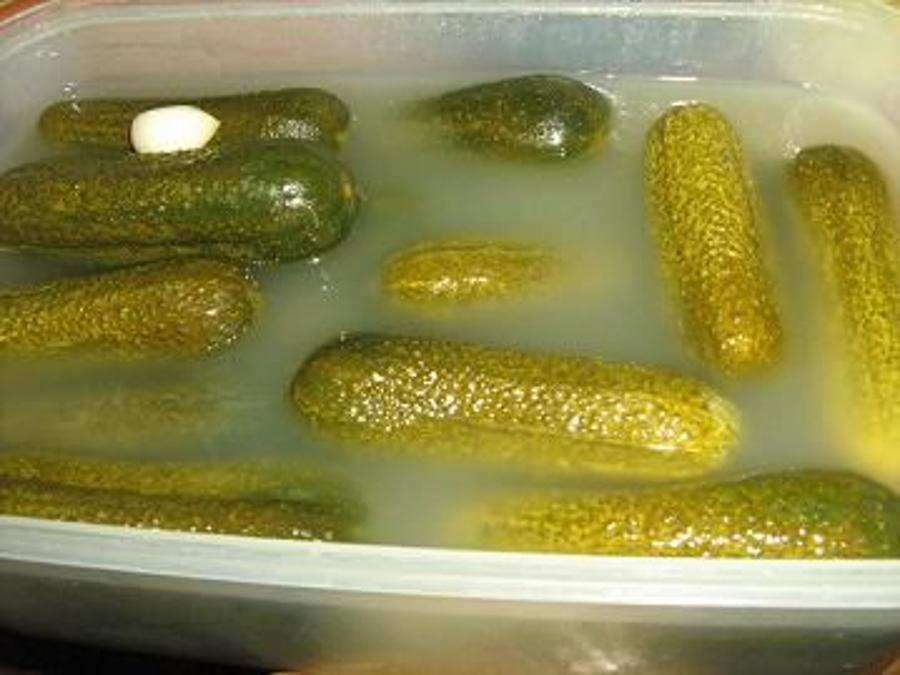 Cucumber Season In Hungary