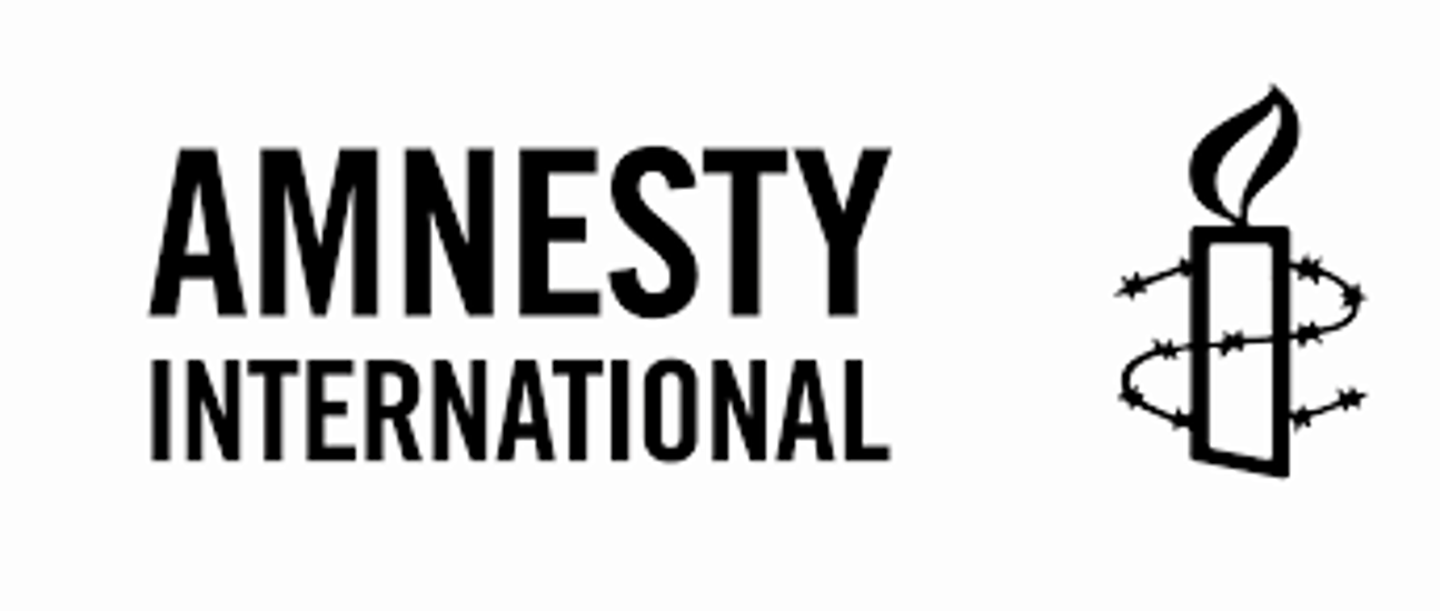 Amnesty Criticises Hungary For Emergency Measures