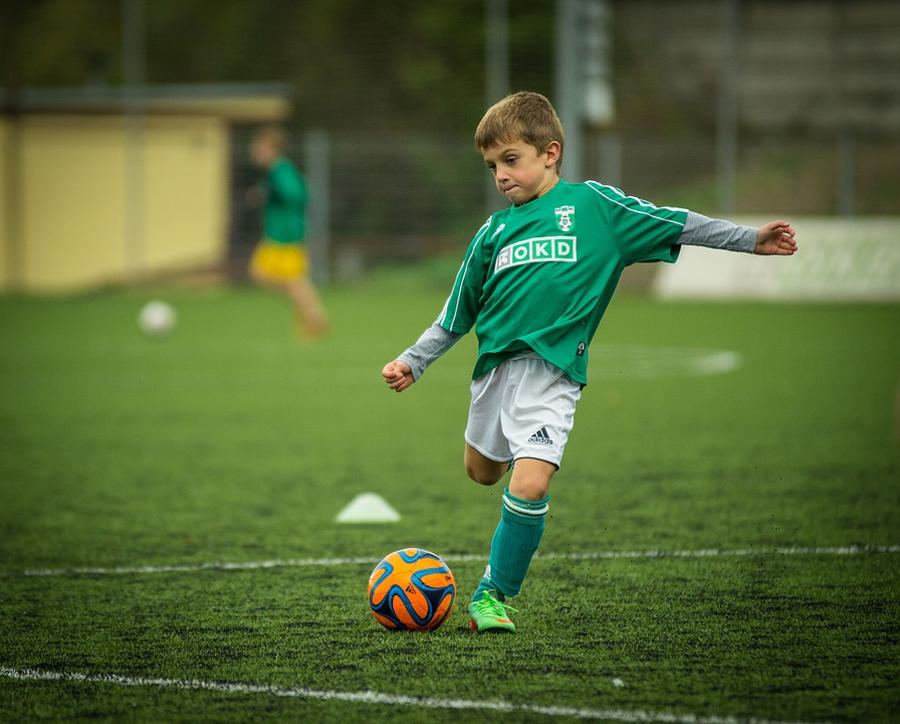 Hungarian Football Federation: Football Development Must Continue