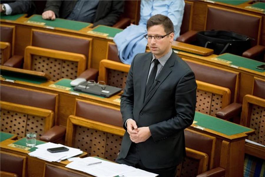 Fidesz MP: No Chance Of Referendums Until After 2018 Election
