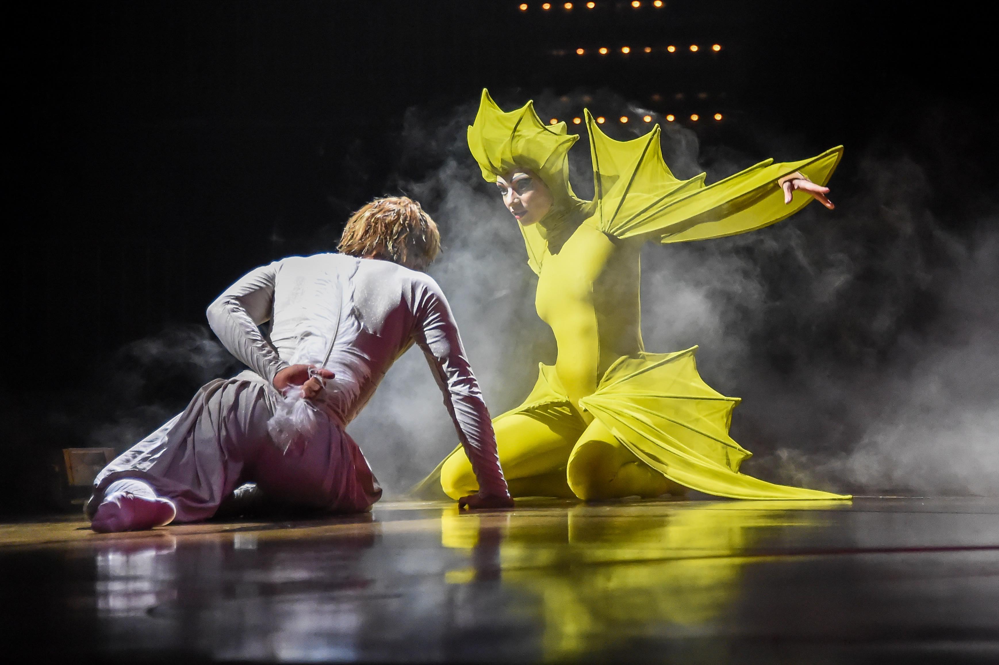 Cirque du Soleil - Varekai, Budapest Aréna, 12 - 14 May
