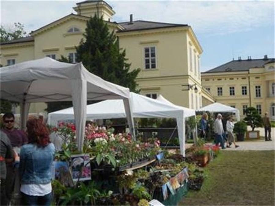 ‘The Art Of The Garden’, Károlyi Mansion, 2 - 4 June
