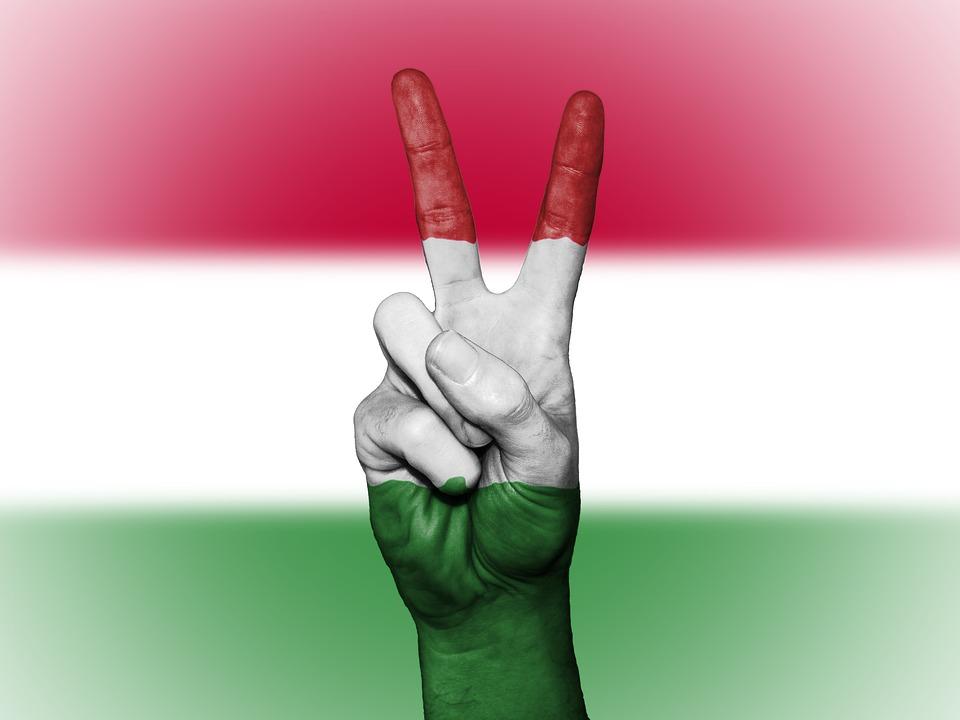 Hungarian Voters Rate Democracy