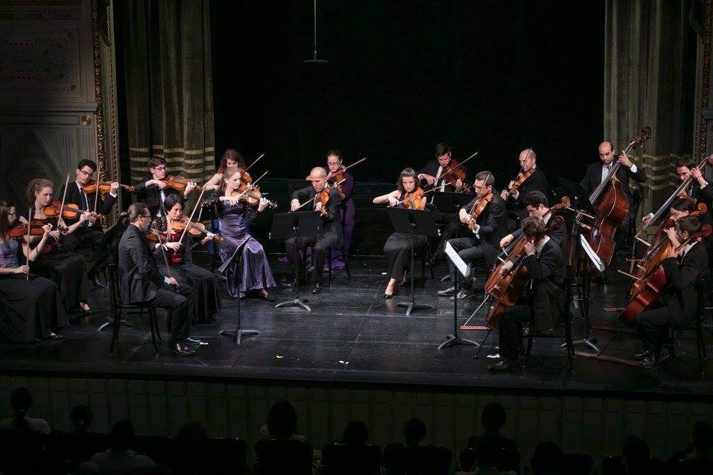 Anima Musicae Chamber Orchestra Celebrates 7 Years On 20 June