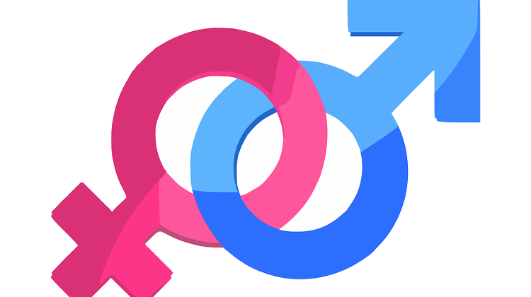 Local Opinion: Gender Studies Ban Seen As A Misunderstanding