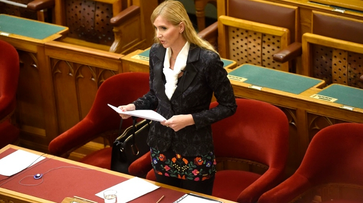 Hungarian Gov't Lacks Policy For Women Says Opposition