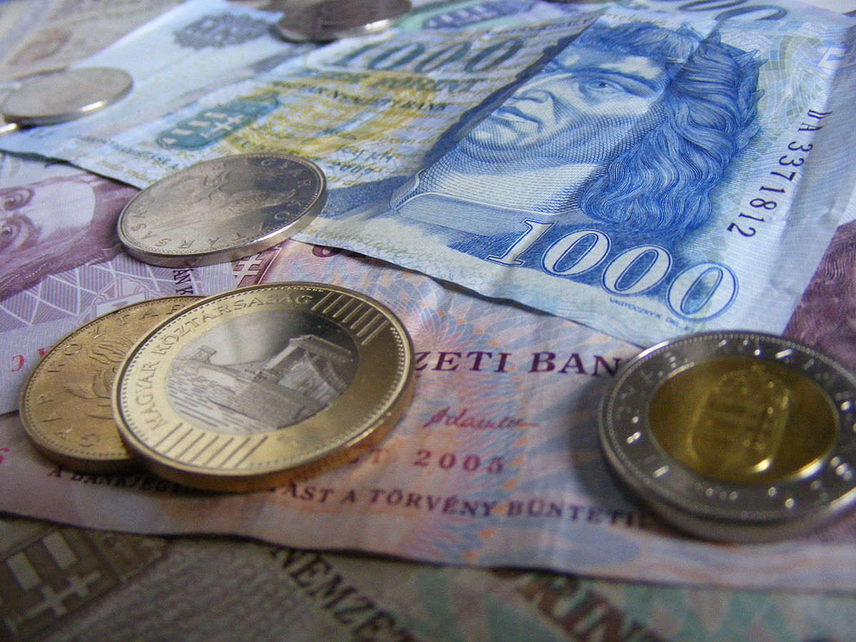 Forint Falls To Two-Year Low Against Euro